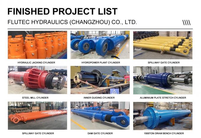 ISO 6022 Özel Hidrolik Silindirler Gemi vinci için piston tipi 5